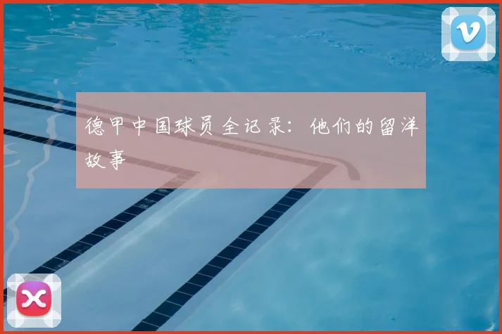 德甲中国球员全记录：他们的留洋故事
