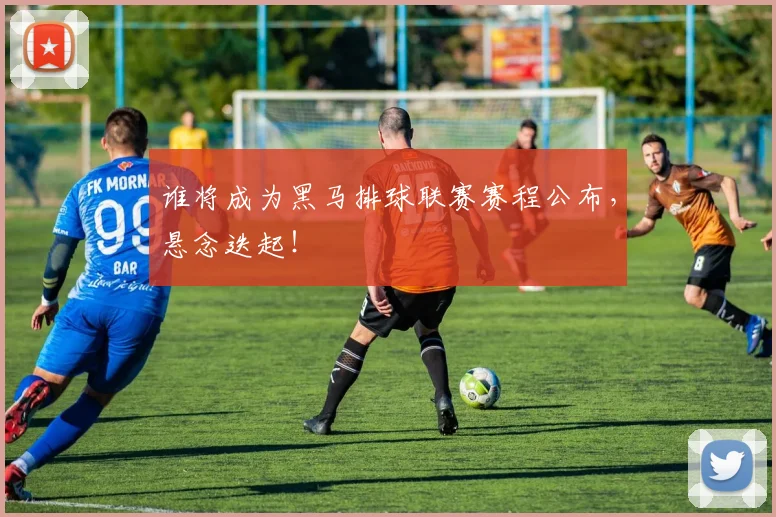 谁将成为黑马排球联赛赛程公布，悬念迭起！
