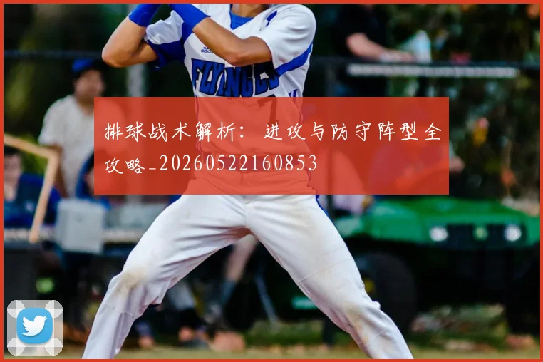 排球战术解析：进攻与防守阵型全攻略_20260522160853