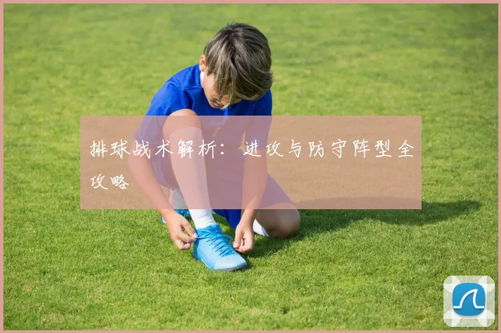 排球战术解析：进攻与防守阵型全攻略