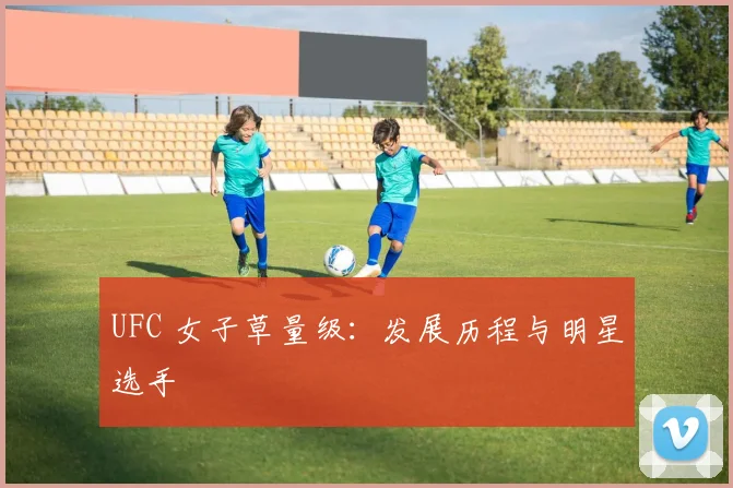UFC 女子草量级：发展历程与明星选手